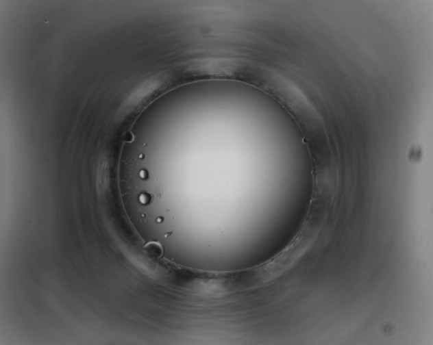 X0000102280120200807251407