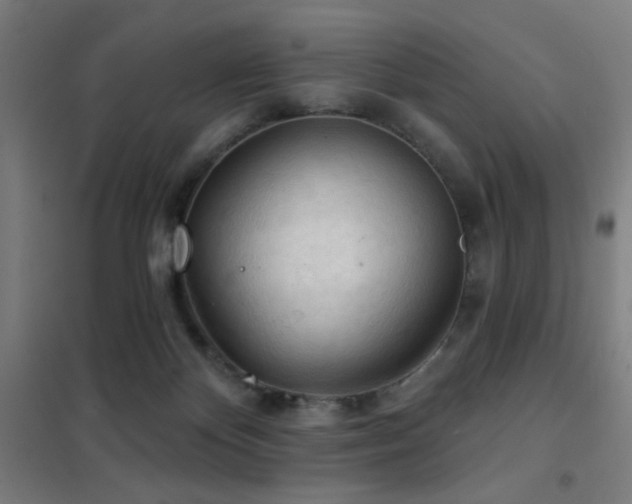 X0000102280124200807251407