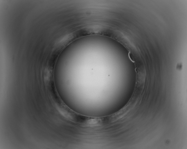 X0000102280126200807251407