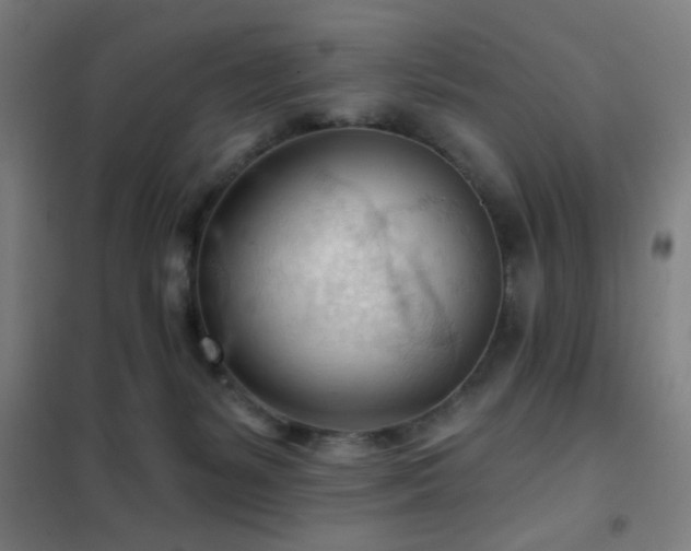 X0000102280127200807251407