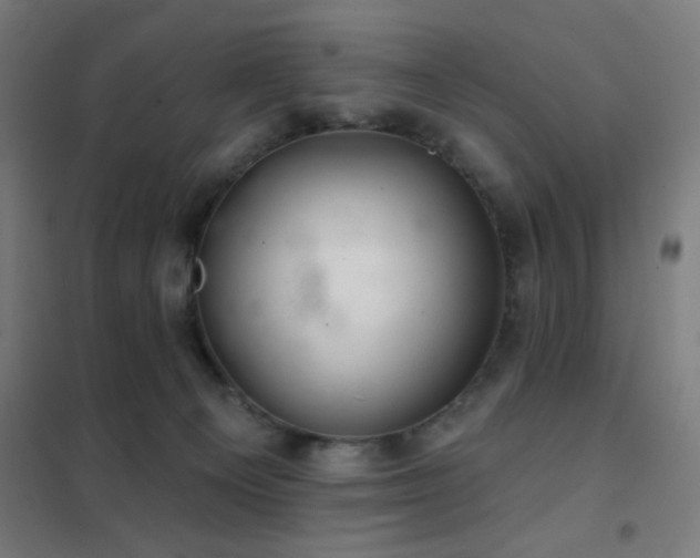 X0000102280129200807251407