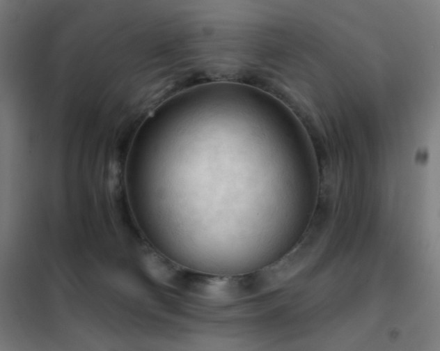 X0000102280130200807251407
