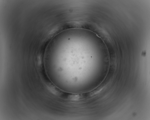 X0000102280131200807251407