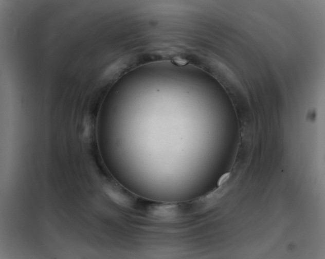 X0000102280132200807251407
