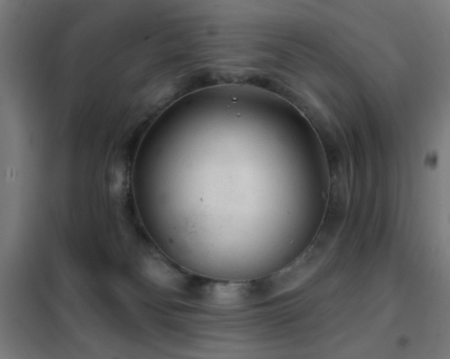 X0000102280134200807251407
