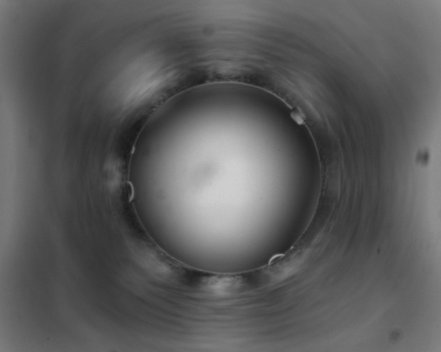 X0000102280135200807251407