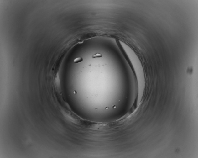 X0000102280136200807251407