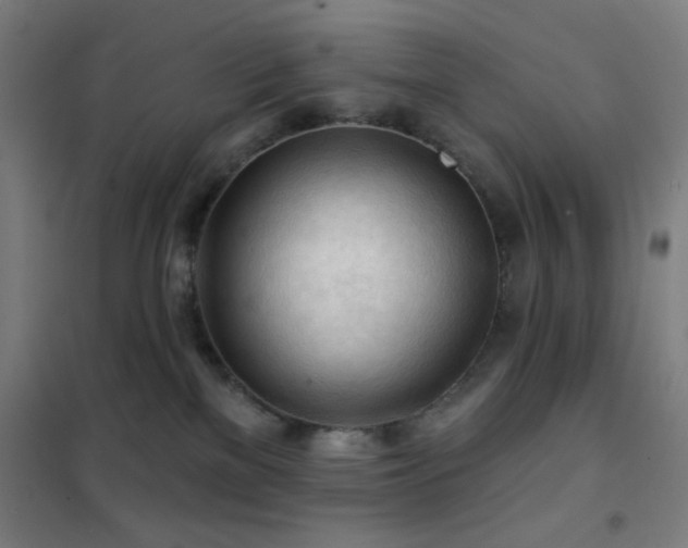 X0000102280137200807251407