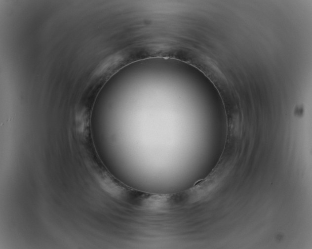 X0000102280138200807251407