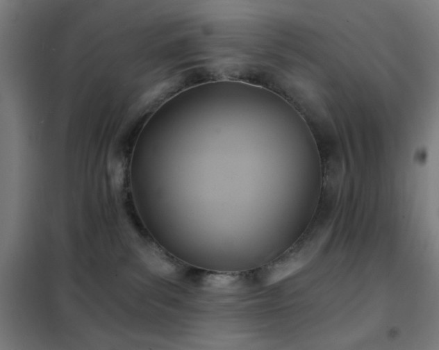X0000102280139200807251407