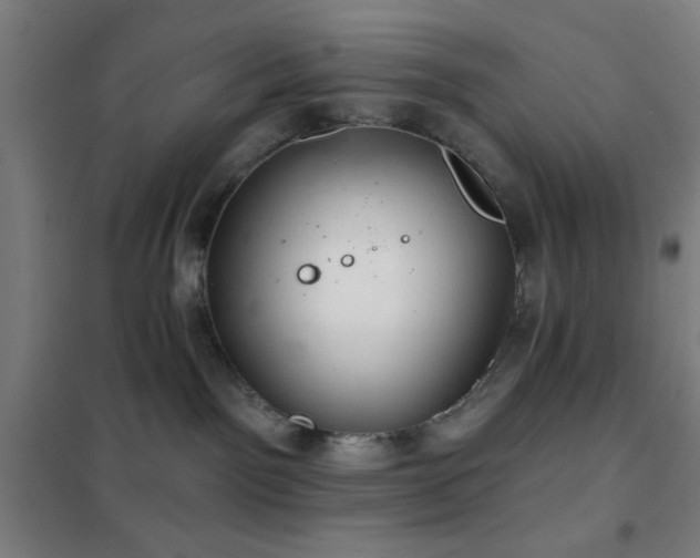 X0000102280141200807251407