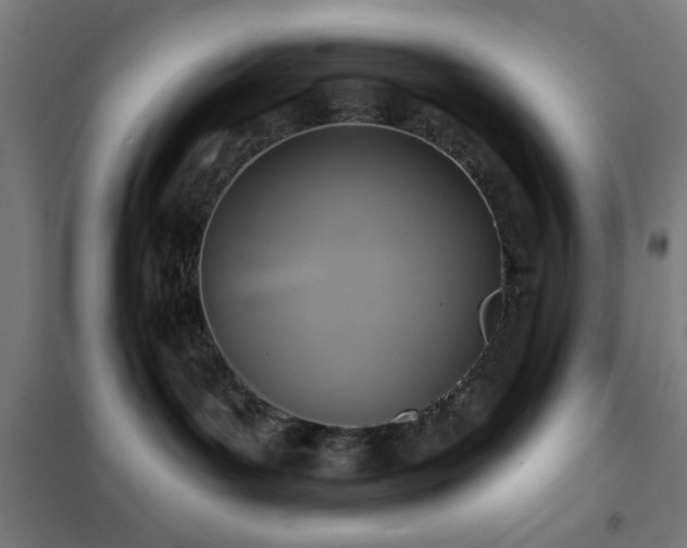 X0000102280143200807251407