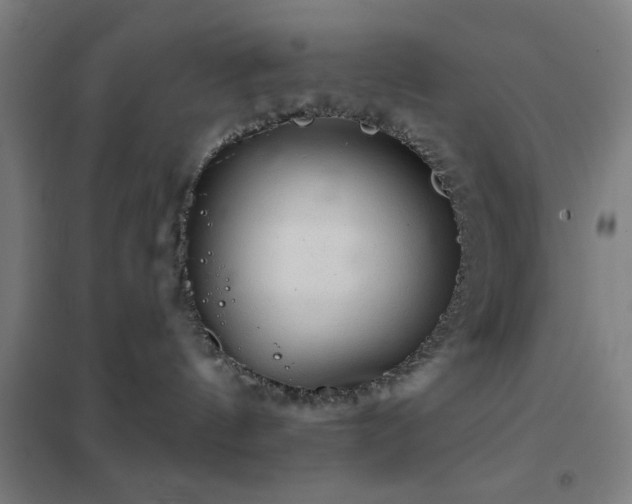 X0000102280144200807251407