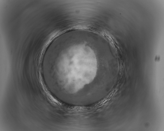 X0000102280145200807251406