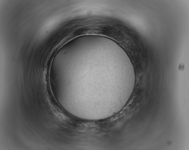 X0000102280146200807251406