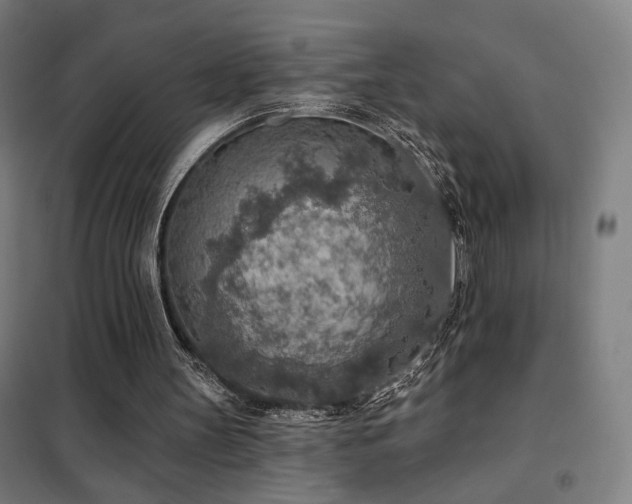 X0000102280147200807251406