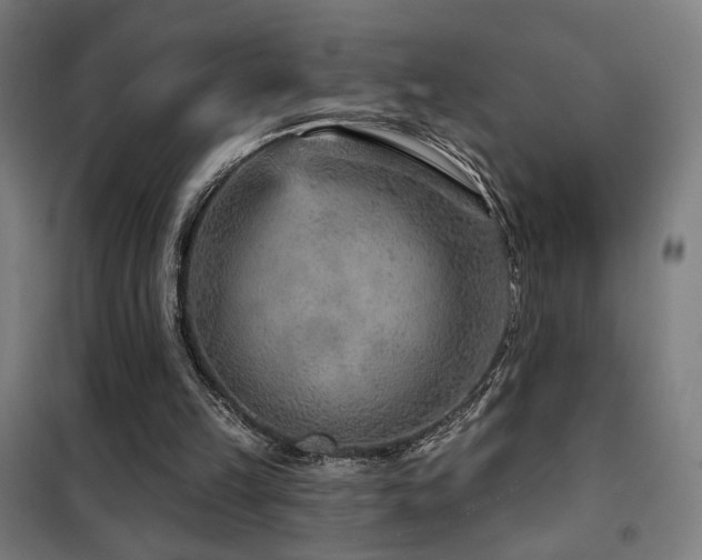 X0000102280149200807251406