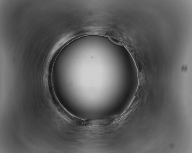 X0000102280150200807251406