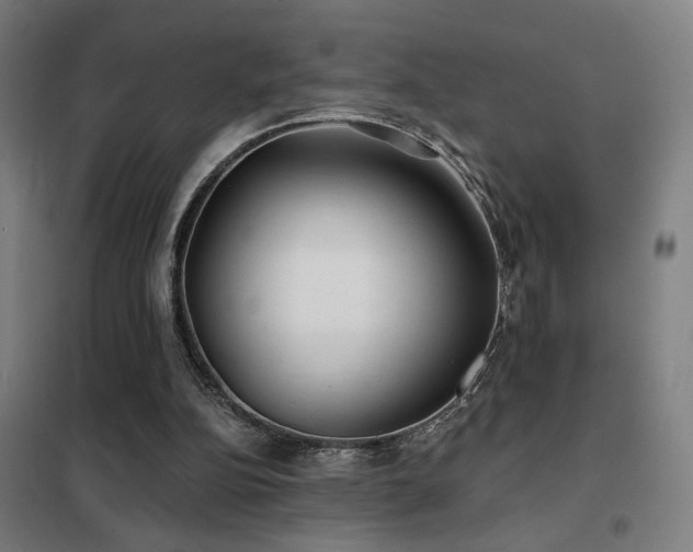 X0000102280152200807251406