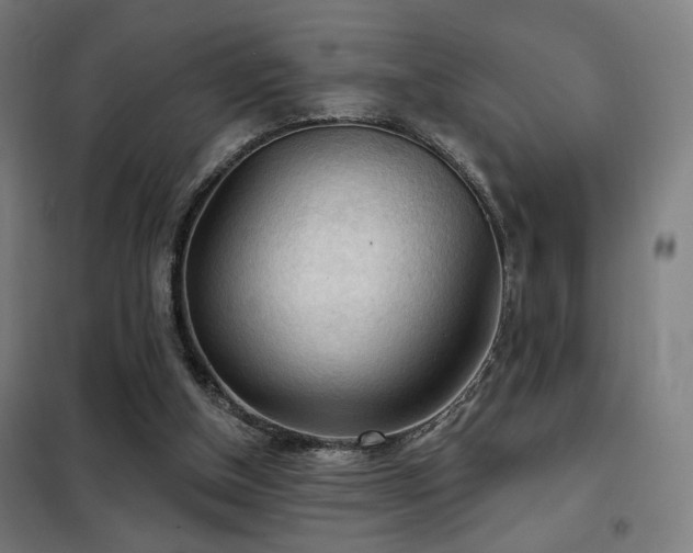X0000102280154200807251406