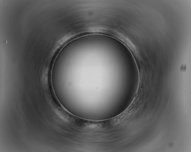 X0000102280155200807251406