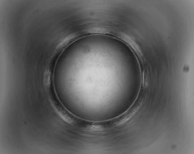 X0000102280157200807251406