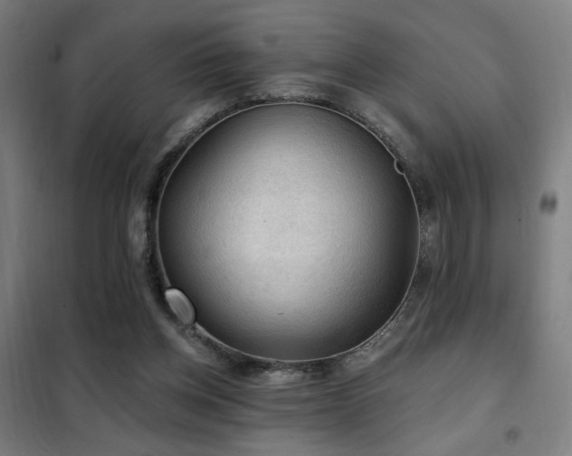 X0000102280158200807251406