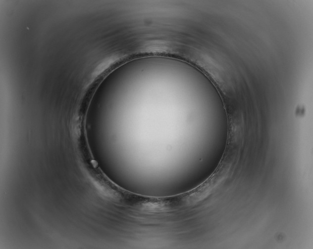 X0000102280160200807251406