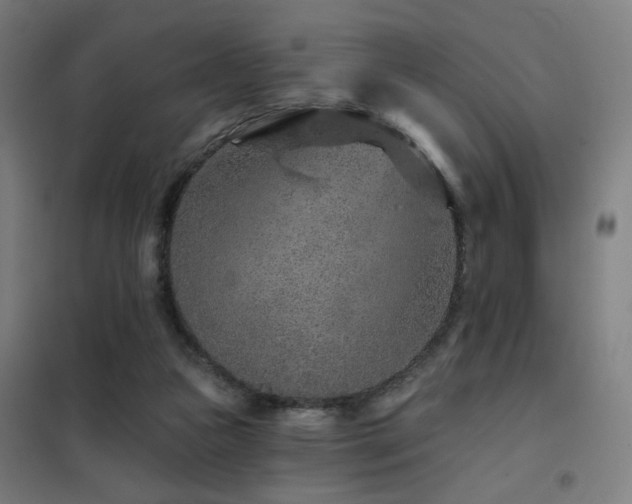 X0000102280161200807251406