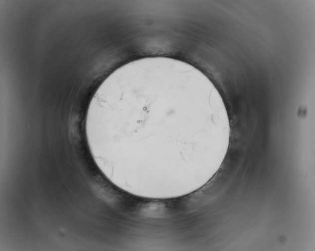 X0000102280162200807251406