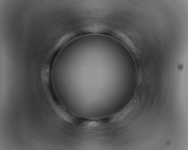 X0000102280163200807251406