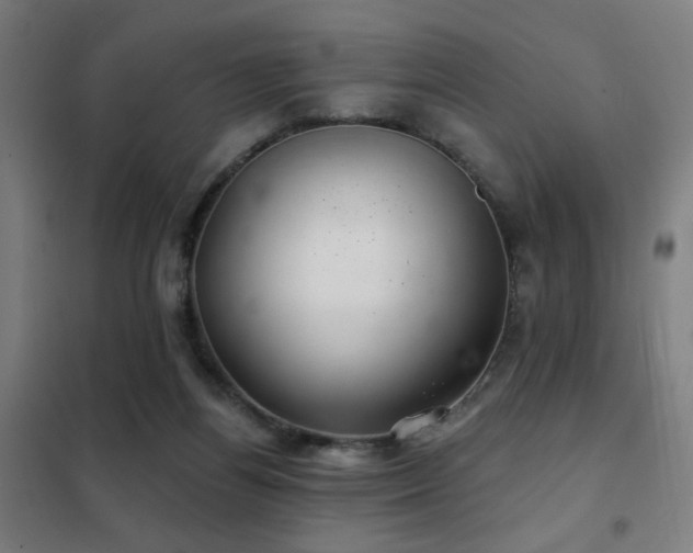 X0000102280164200807251406