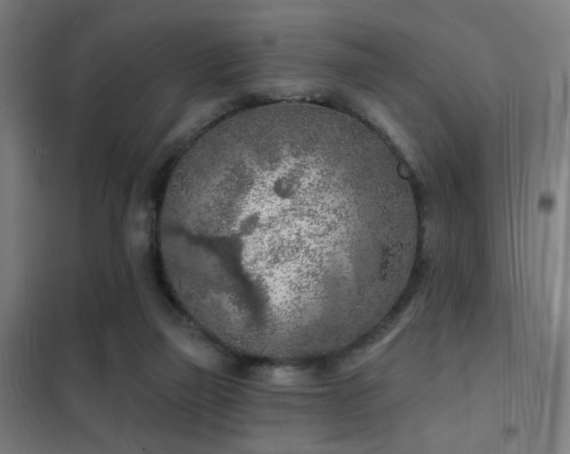 X0000102280165200807251406