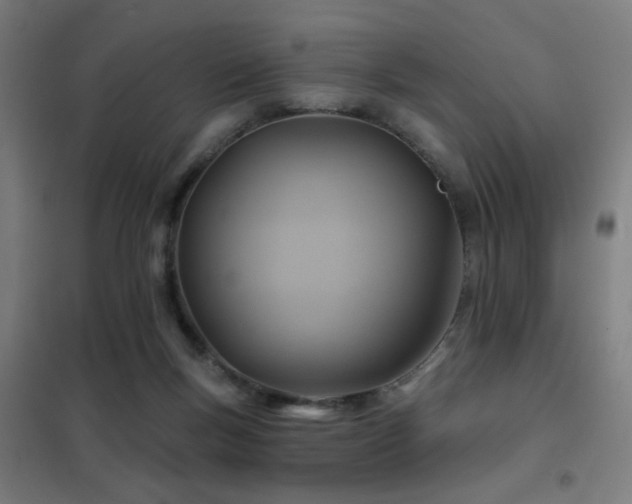 X0000102280167200807251406