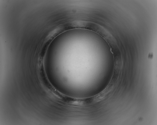 X0000102280168200807251406