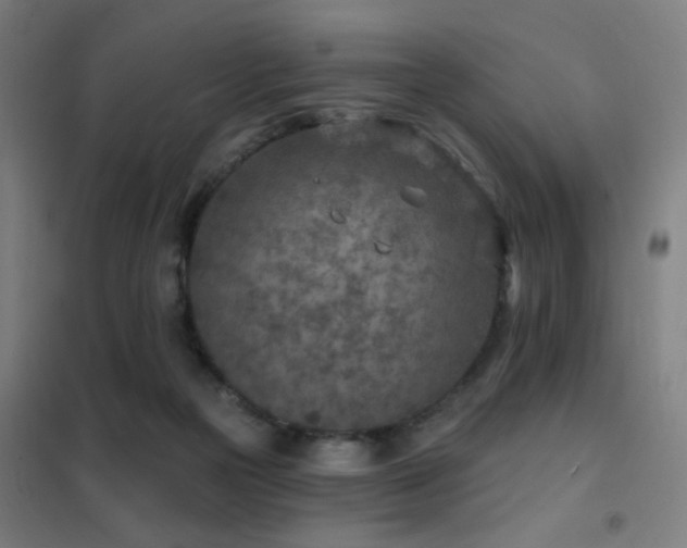 X0000102280169200807251406
