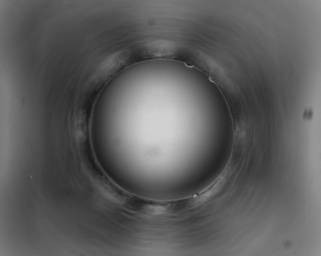 X0000102280170200807251406
