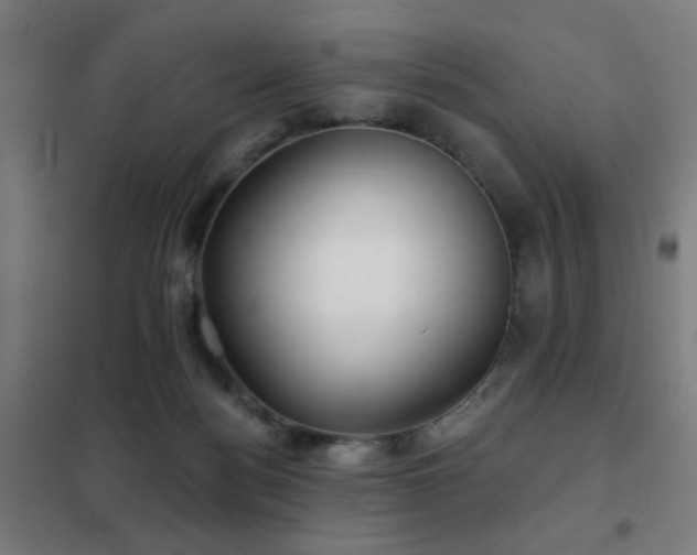 X0000102280172200807251407
