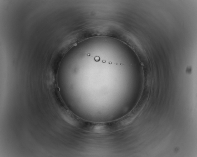 X0000102280173200807251407