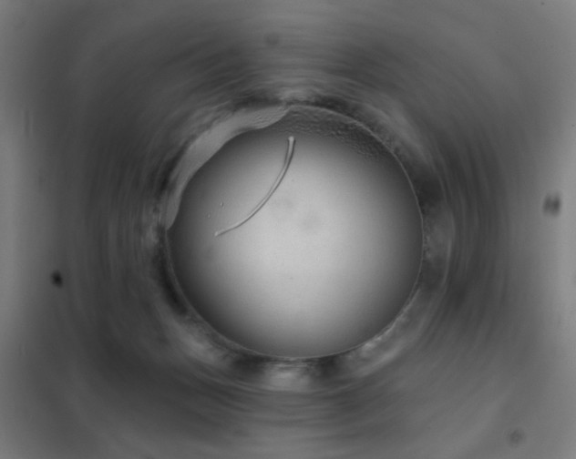X0000102280175200807251407