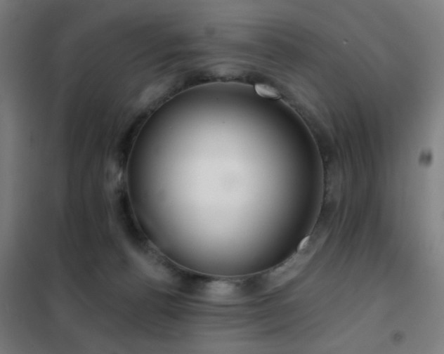 X0000102280176200807251407
