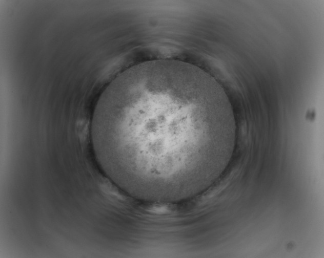X0000102280177200807251407