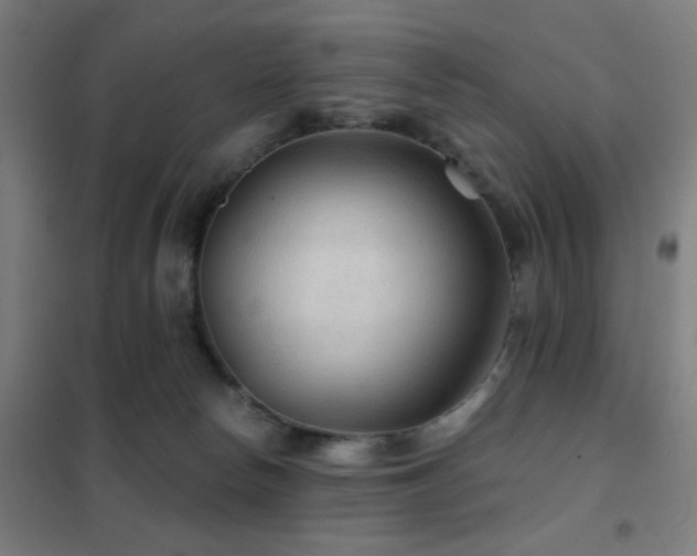 X0000102280178200807251407