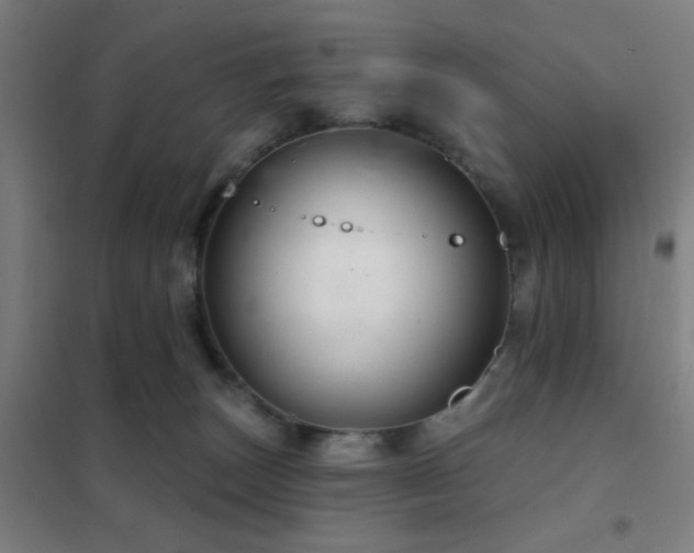 X0000102280179200807251407
