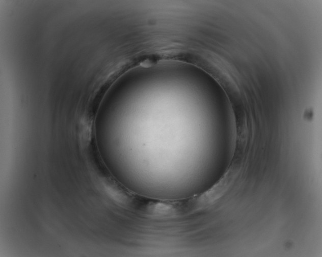 X0000102280180200807251407