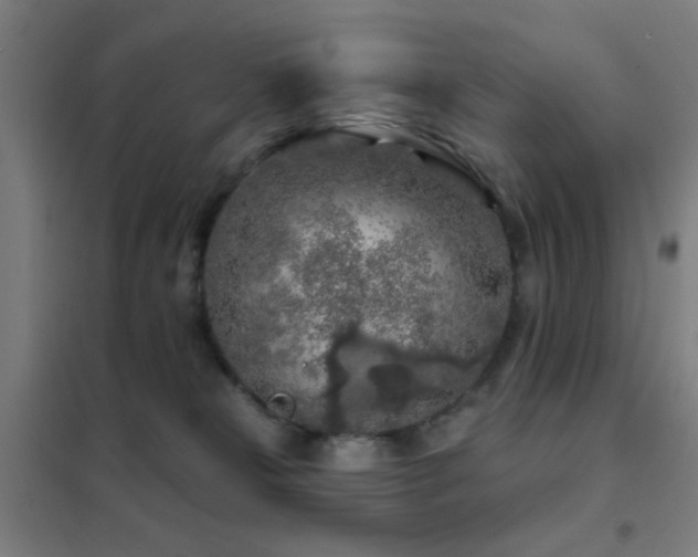 X0000102280181200807251407