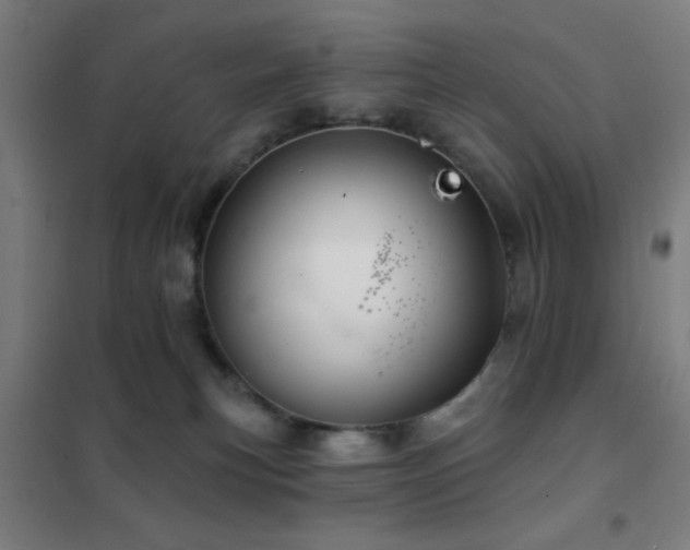 X0000102280183200807251407