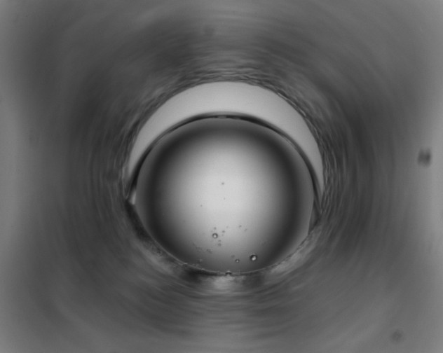 X0000102280184200807251407