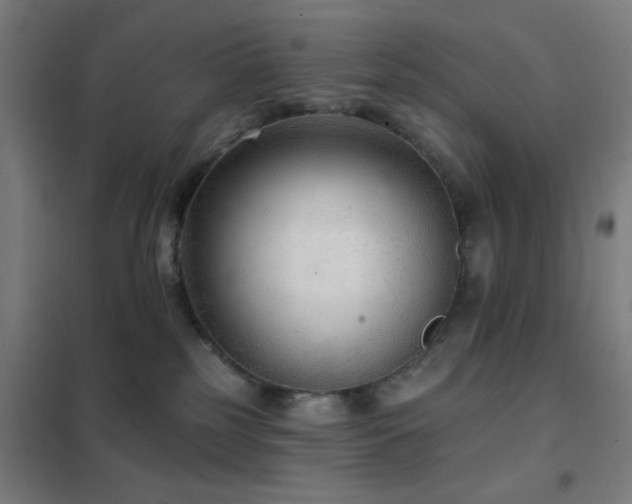 X0000102280185200807251407