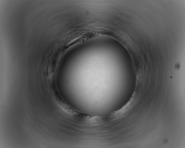 X0000102280186200807251407